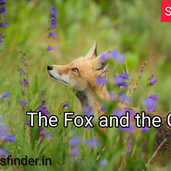 The Fox and the Grapes- Story writing