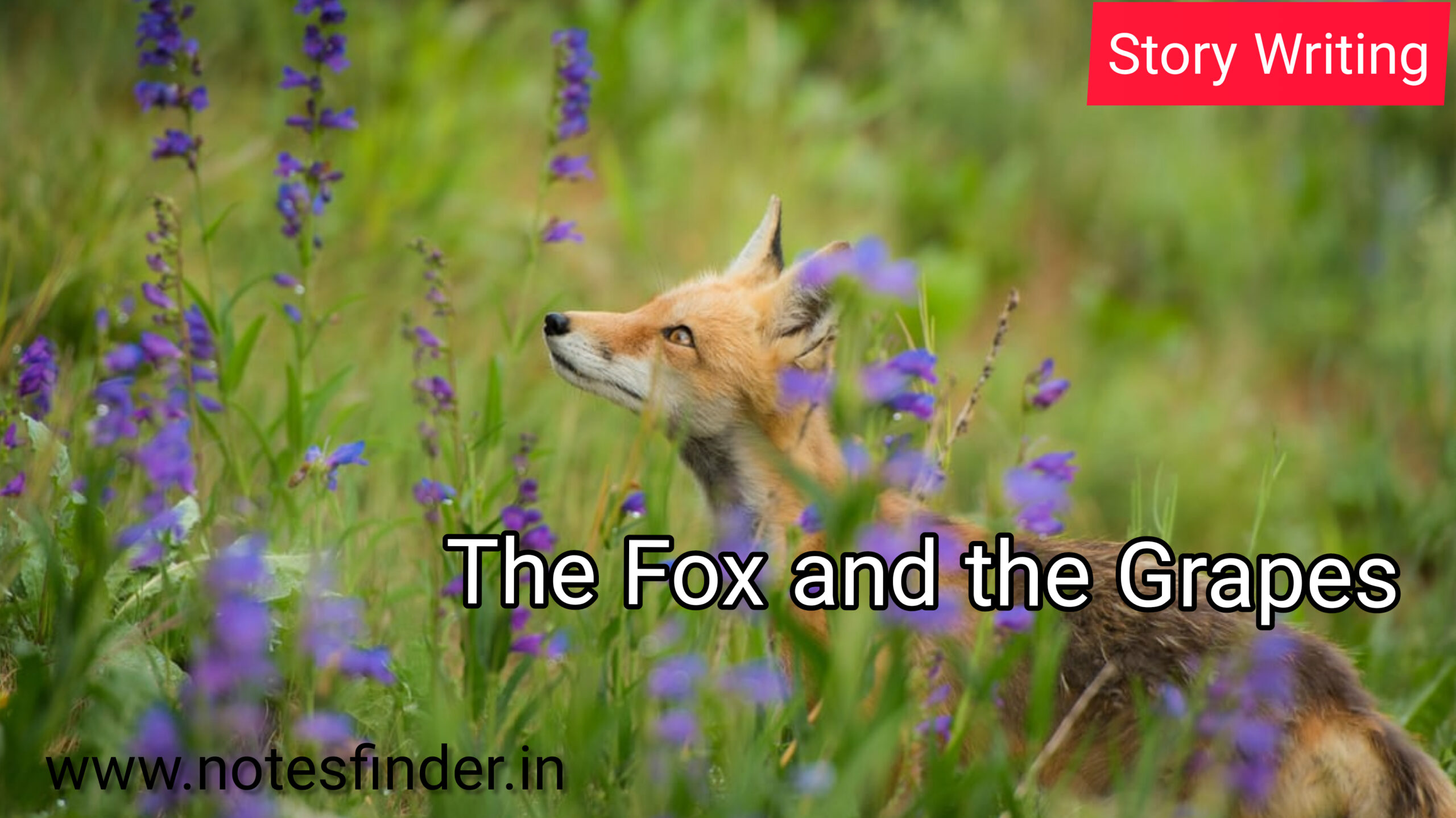 The Fox and the Grapes- Story writing