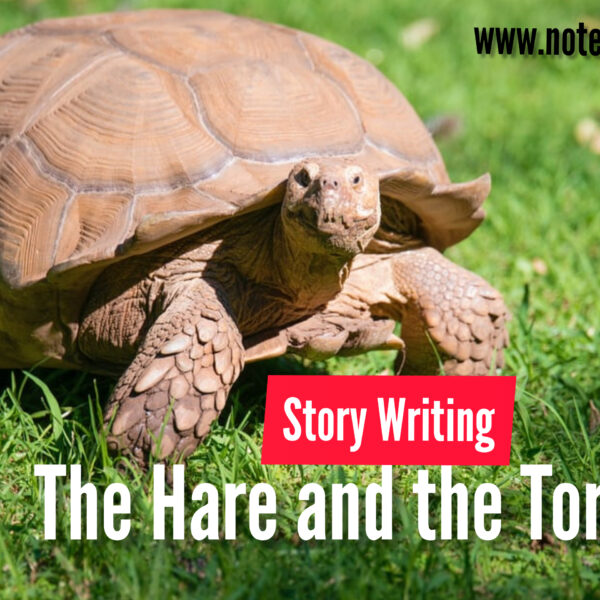 The Hare and the Tortoise story