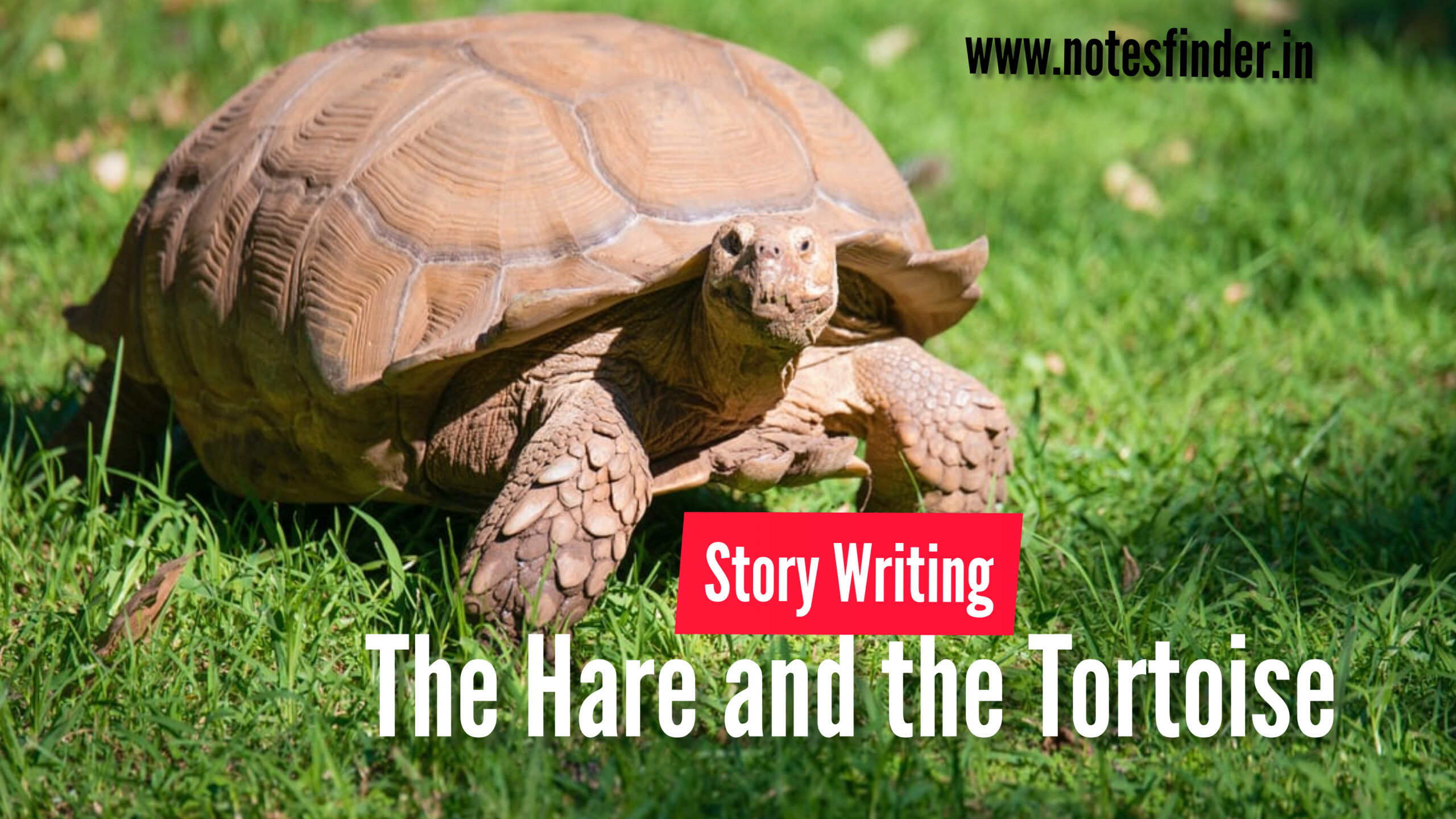 The Hare and the Tortoise story