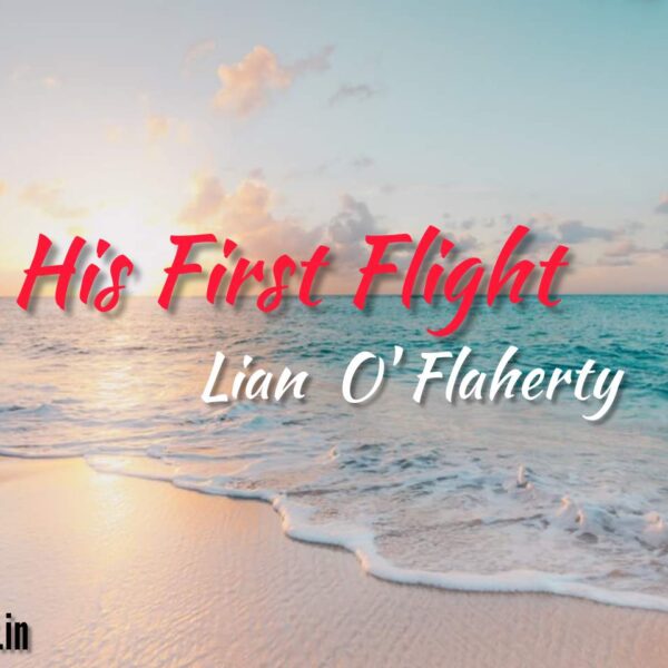 His First Flight (Lesson 8) Questions- Answers | Bengali meaning | Writing Skill