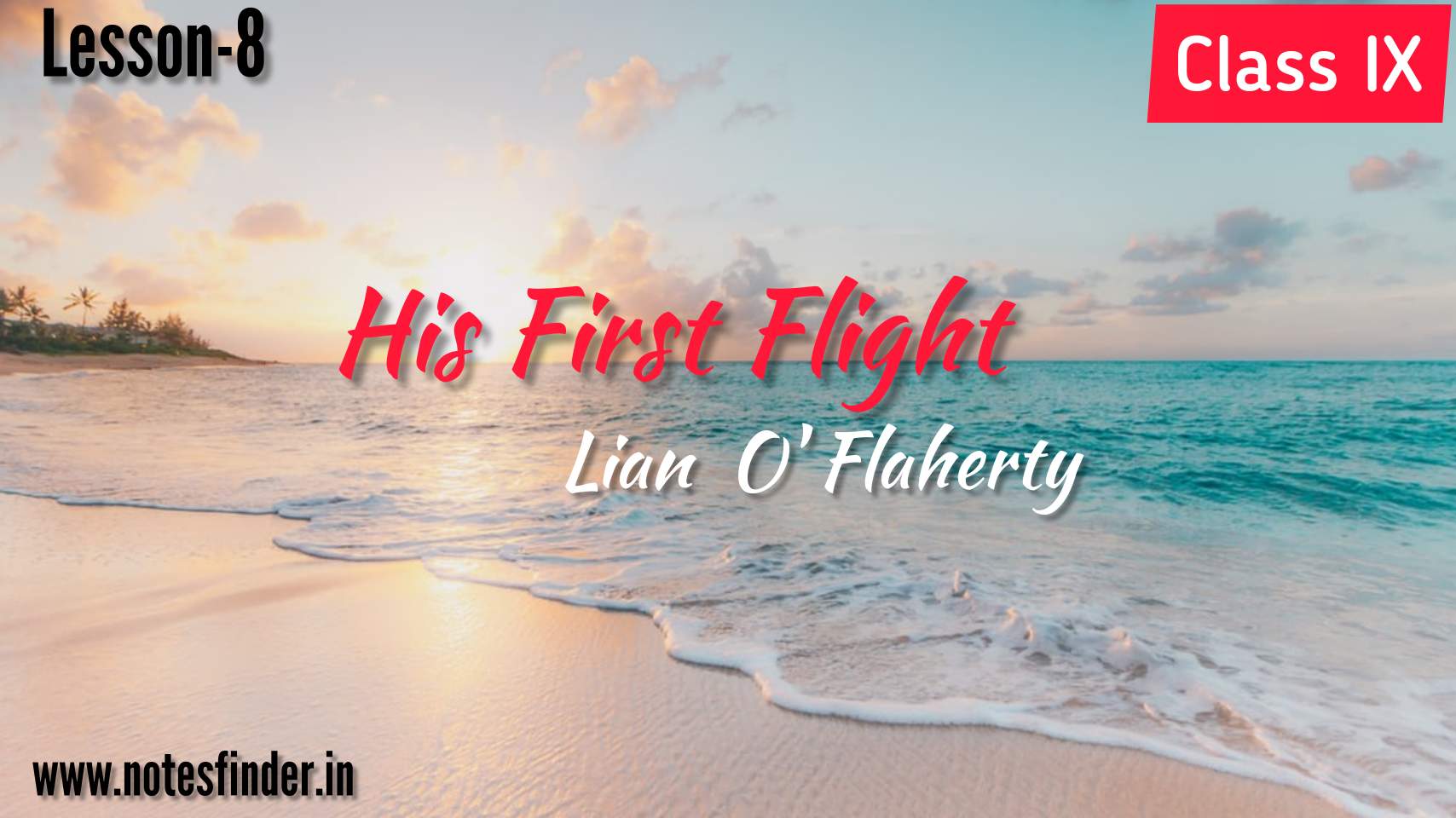 his-first-flight-lesson-8-questions-answers-bengali-meaning