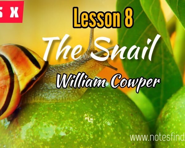 The Snail – William Cowper – Lesson 8- Class 10