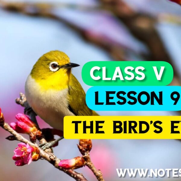 The Bird’s Eye (Lesson 9) Bengali Meaning | Question Answers | Class V English