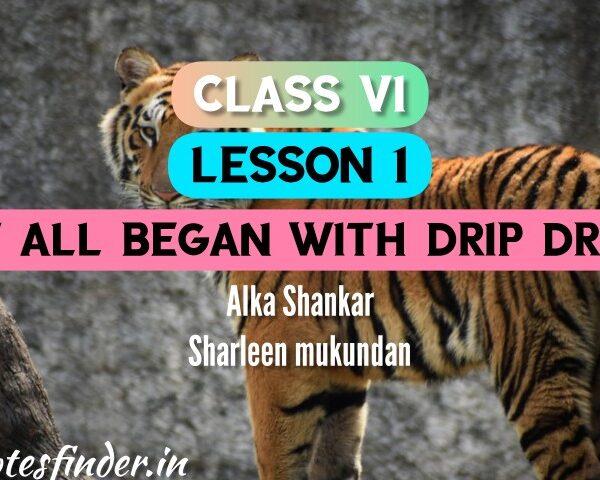 It All Began With Drip-Drip( Lesson1) Bengali Meaning | Questions -Answers | Class 6 English