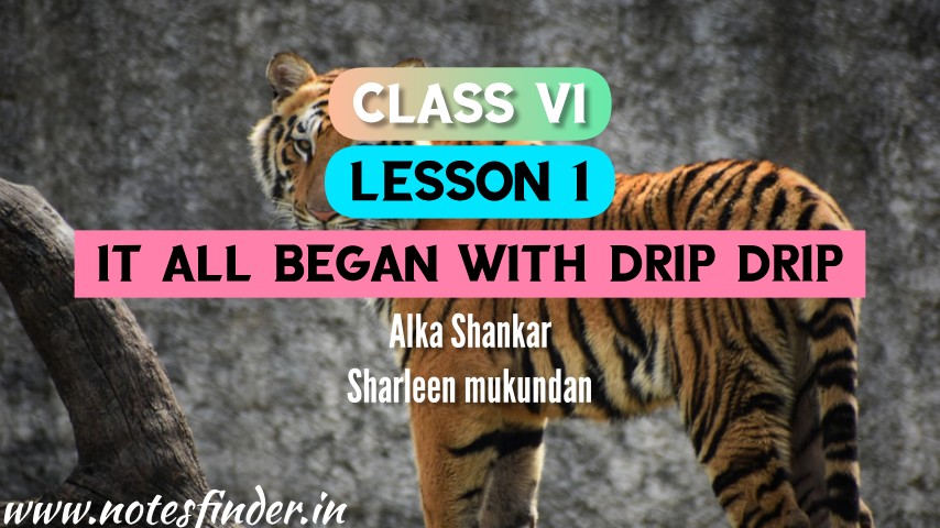 It All Began With Drip-Drip( Lesson1) Bengali Meaning | Questions