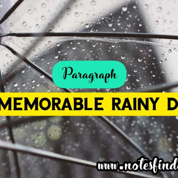 A Memorable Rainy Day