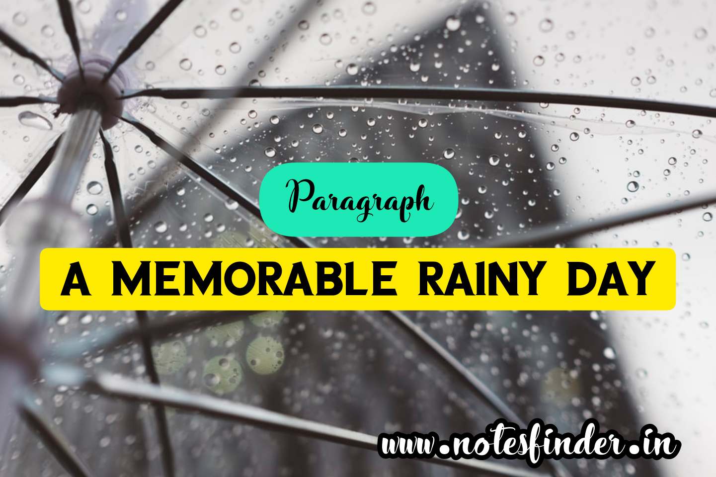 A Memorable Rainy Day