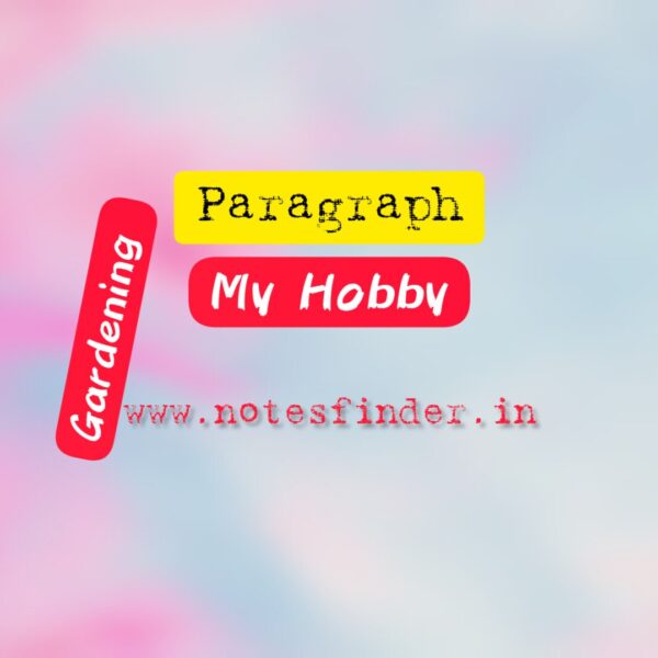 Your Hobby Paragraph | My Hobby Paragraph