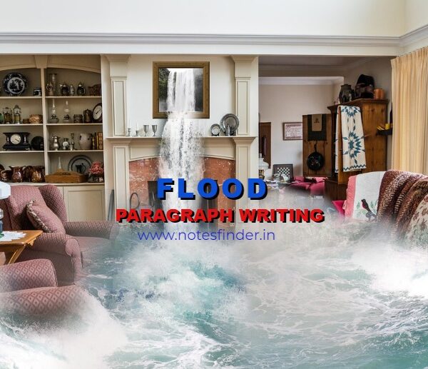 Essay on Flood | Paragraph on Flood