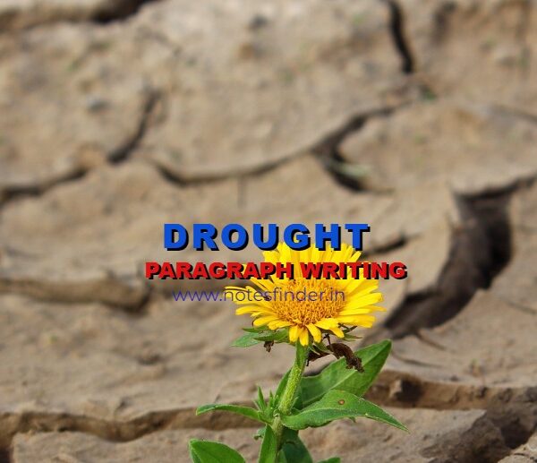 Pragraph on Drought