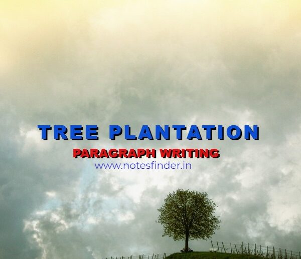 Tree Plantation Paragraph