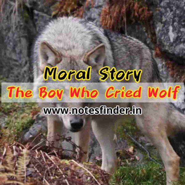 The Boy Who Cried Wolf | Moral Story