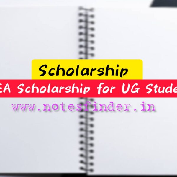 FAEA Scholarships for Undergraduate Studies in India