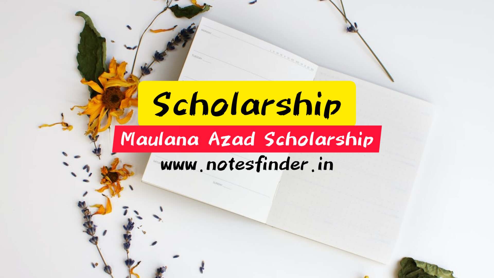 phd scholarships for minority students in india