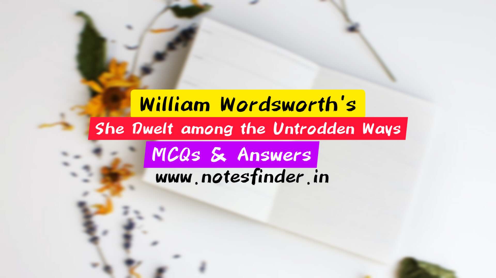 She Dwelt among the Untrodden Ways | Explanation | MCQs & Answers | William Wordsworth