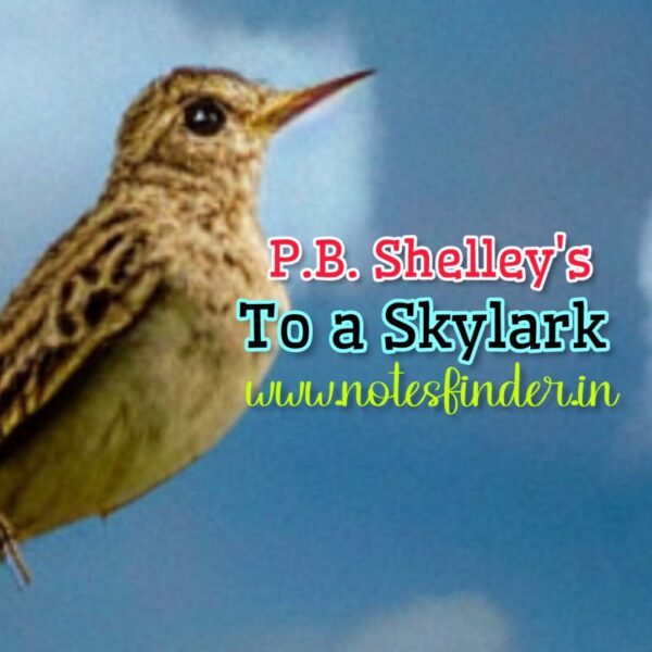 To a Skylark | Explanation | MCQs & Answers