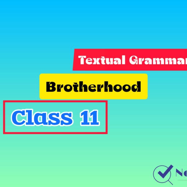 Textual Grammar from Brotherhood: Homage to Ptolemy | Class 11