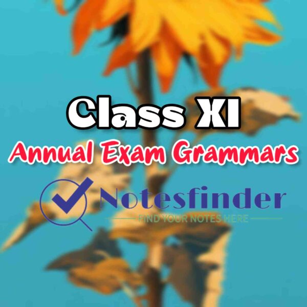 Class 11 Textual Grammar from Final Examinations