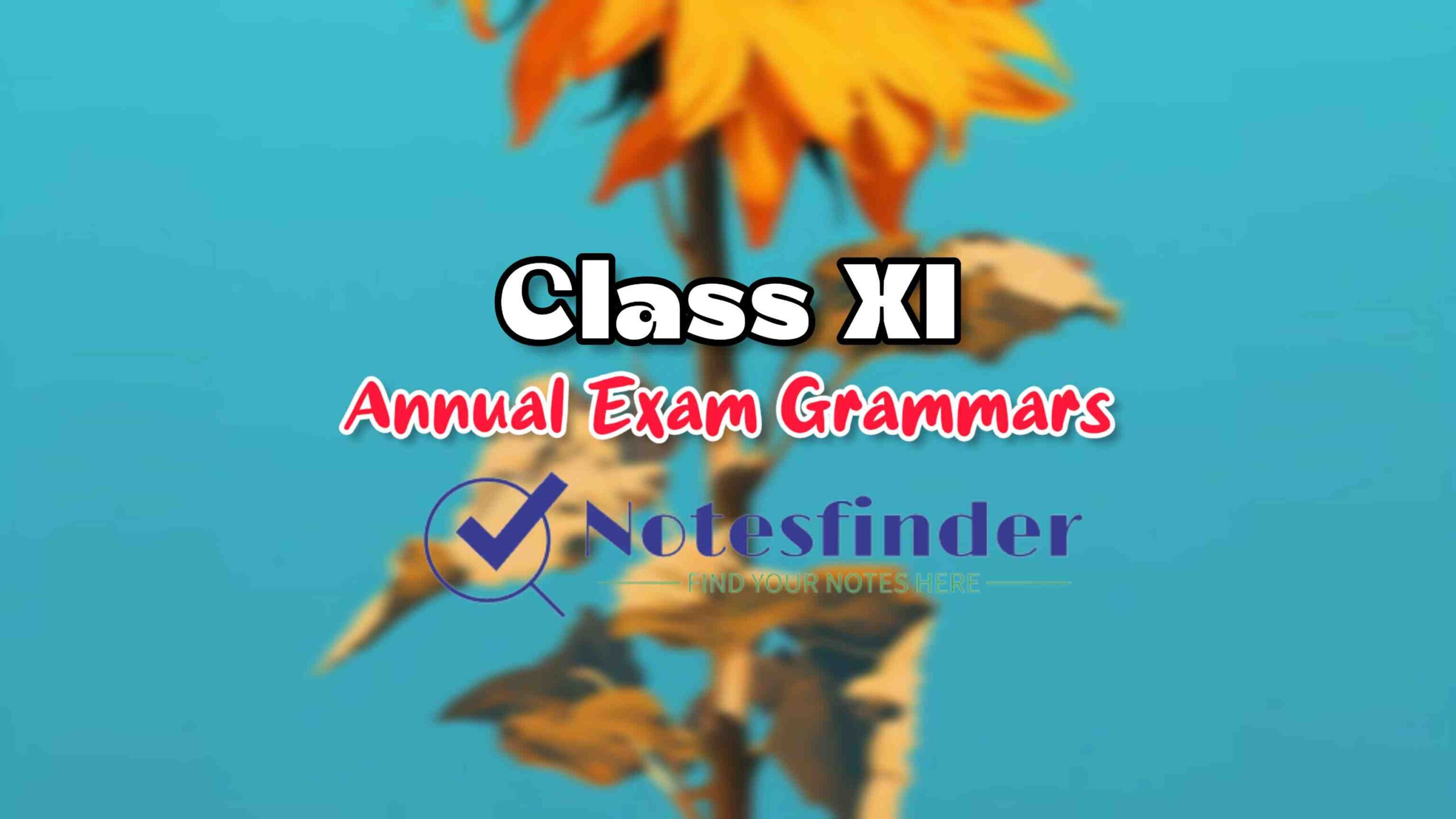 class-11-textual-grammar-from-final-examinations-notesfinder