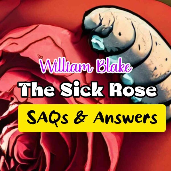 The Sick Rose by William Blake – Short Questions and Answers(SAQ)| Class 11