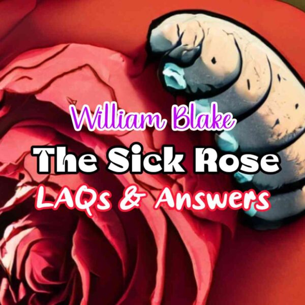 The Sick Rose – William Blake Questions & Answers (LAQ) | Class 11 English