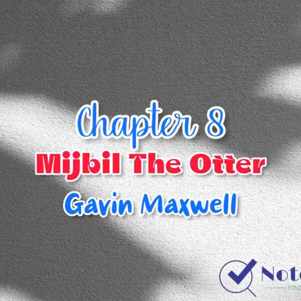 Chapter 8 Mijbil the Otter