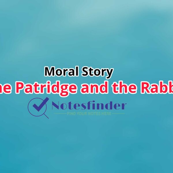 The Partridge and the Rabbit | Moral Stories