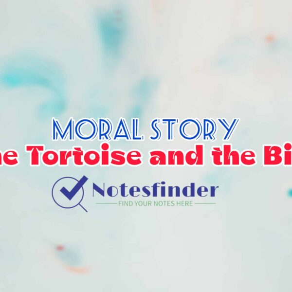 The Tortoise and the Bird | Moral Stories