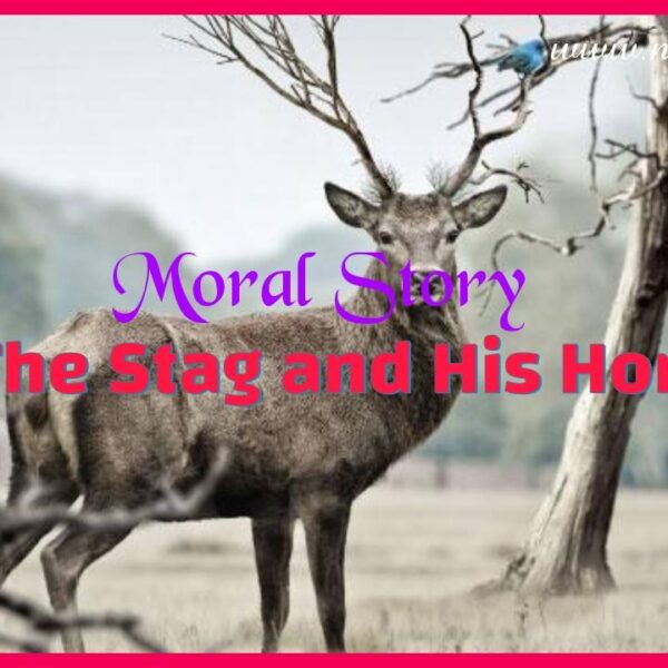 The Stag and His Reflection Story | Moral Stories