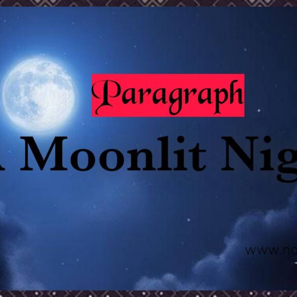 A Moonlit Night | Paragraph