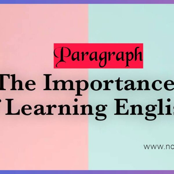 The Importance of Learning English | Paragraph