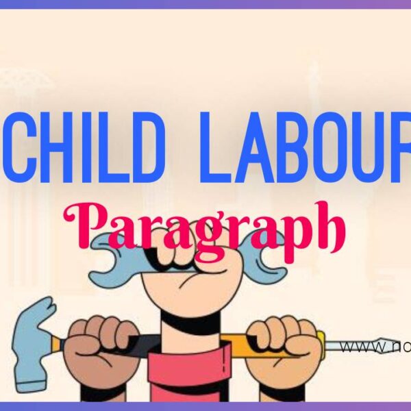 Child Labour Paragraph | Child Labour in India