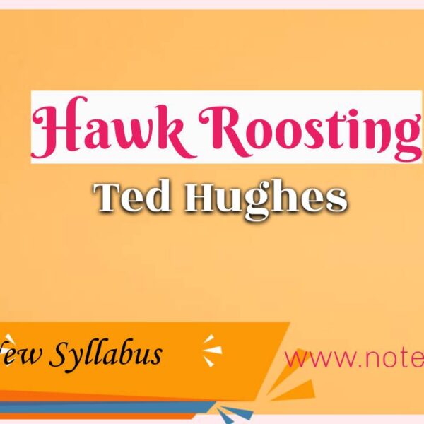 Hawk Roosting – Ted Hughes | Class 12