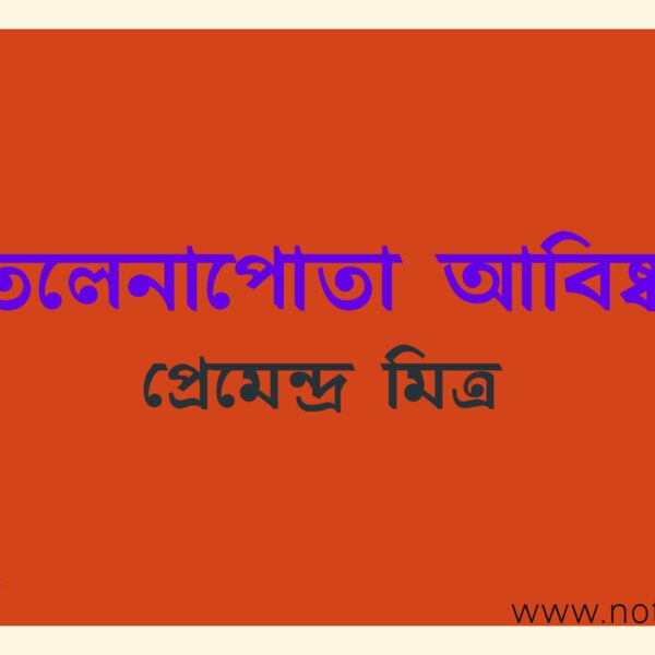 তেলেনাপোতা আবিষ্কার(গল্প) – প্রেমেন্দ্র মিত্র