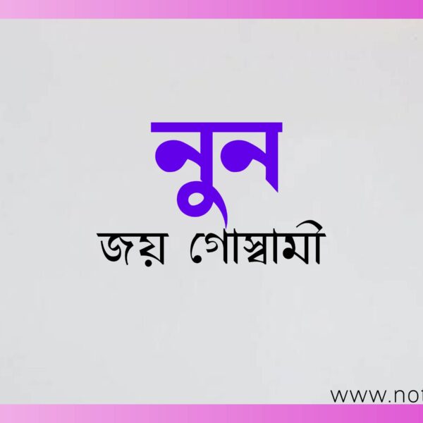 নুন – জয় গোস্বামী একাদশ শ্রেণী